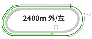 船橋競馬場2400m超長距離戦データ分析グラフ 1レースのみの極少データ統計的注意