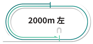 川崎競馬場2000m距離別データ分析図 - 馬番別勝率、人気別成績、長距離戦の特徴とスタミナ適性