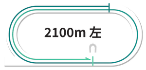 川崎競馬場2100m完全攻略ガイド【2025年最新版】最長距離戦