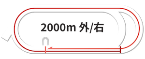 大井競馬場2000m完全攻略ガイド【2025年最新版】長距離戦