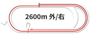 大井競馬場2600m完全攻略ガイド【2025年最新版】最長距離戦