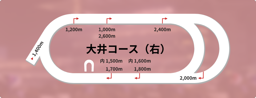 大井競馬場全体分析ページのサムネイル画像